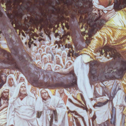 Zacchaeus: A Day to remember